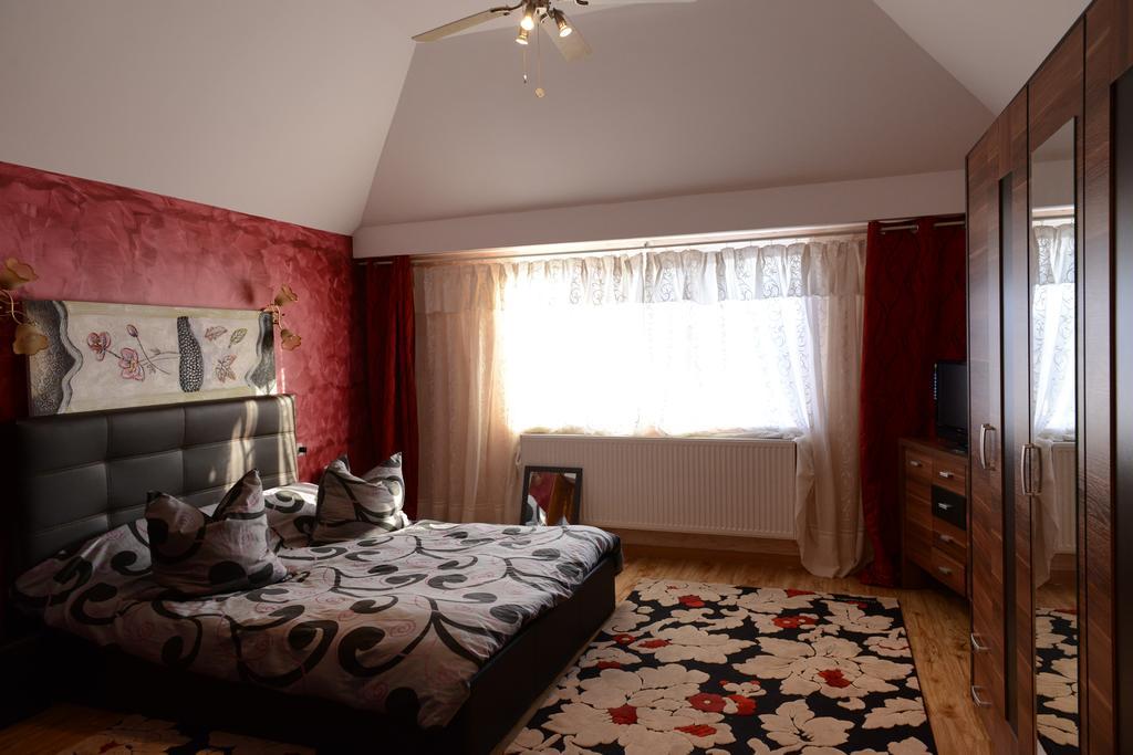 Vila Perla Sapanteana Сепинца Номер фото